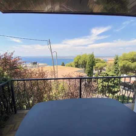 Panorama B1 Roses